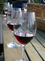 Food and wine tours